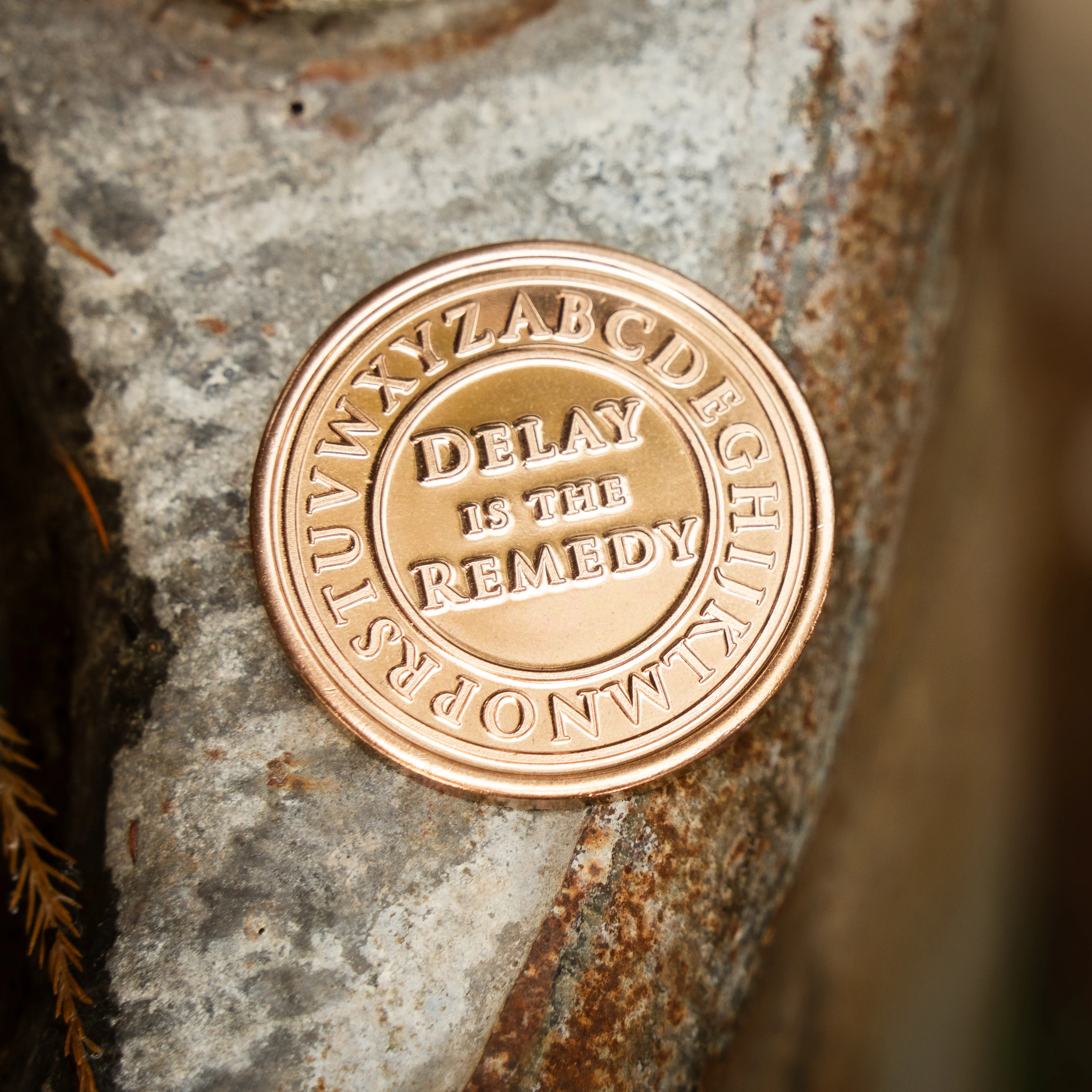 Pause & Reflect Medallion - Image 3